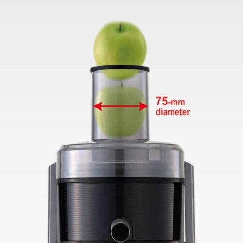 Panasonic 800 Watt 3 In 1 Juice Maker MJ-DJ31