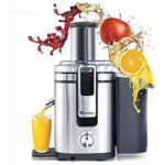 Dawlance Juicer DWHJ-8002 I