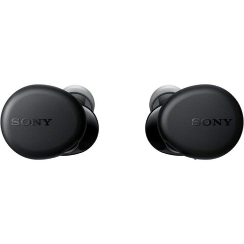 Sony WF-XB700 Extra Bass True Wireless Earbuds