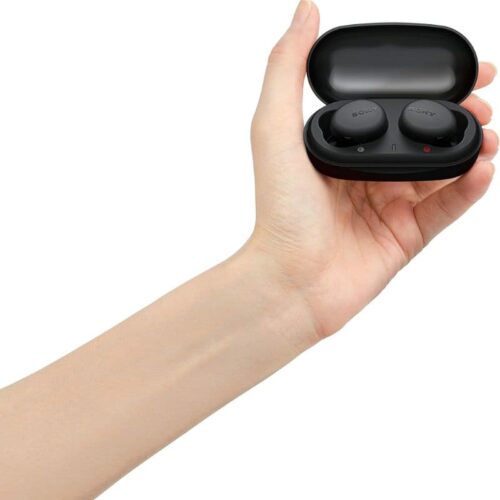 Sony WF-XB700 Extra Bass True Wireless Earbuds