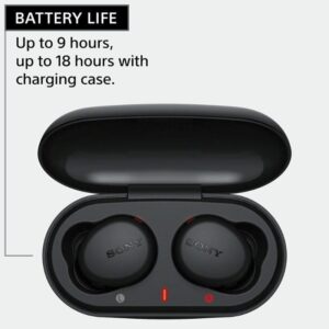 Sony WF-XB700 Extra Bass True Wireless Earbuds