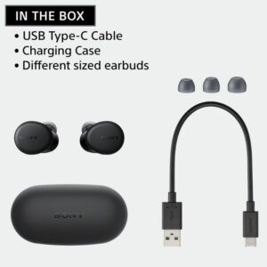 Sony WF-XB700 Extra Bass True Wireless Earbuds