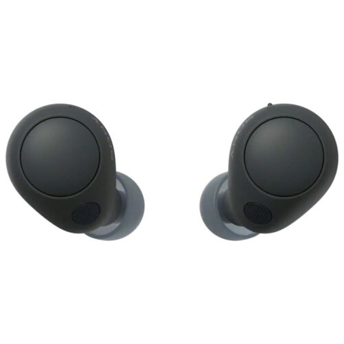 Sony Noise Canceling Truly Wireless Earbuds WF-C700N