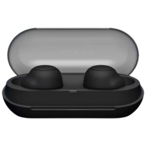 Sony Truly Wireless Headphones WF-C500