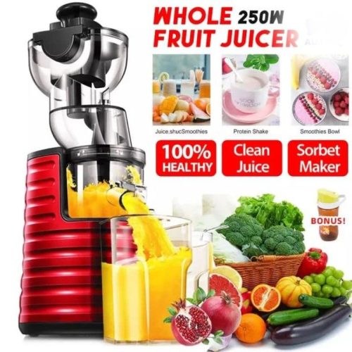 Savtm JE-31 1Liter Cold Press Slow Juicer infographics