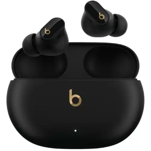 Earbuds