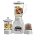 Blender and Grinder 3 in 1 WF-313