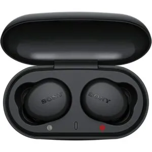 Sony WF-XB700 Extra Bass True Wireless Earbuds