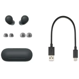 Sony Noise Canceling Truly Wireless Earbuds WF-C700N