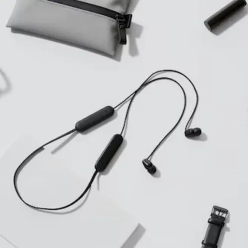 Sony WI-C100 Wireless In-Ear Headphones