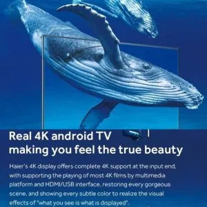 Haier 50 Inch 50K800UX Google Bezel Less LED TV infographics