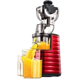 Savtm JE-31 1Liter Cold Press Slow Juicer front