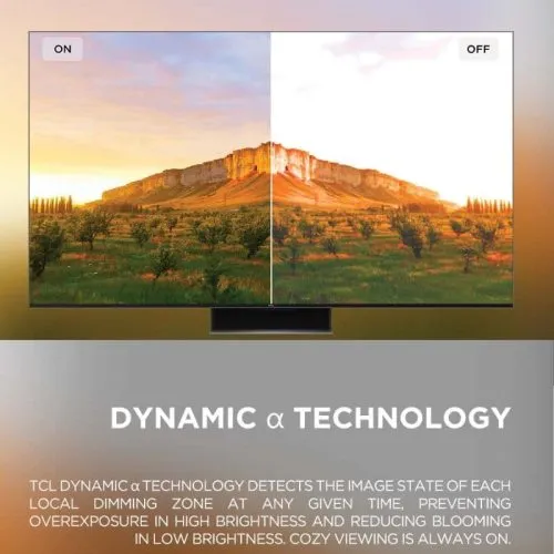 TCL 55C755 55" Inch Mini 4K QLED TV infographics